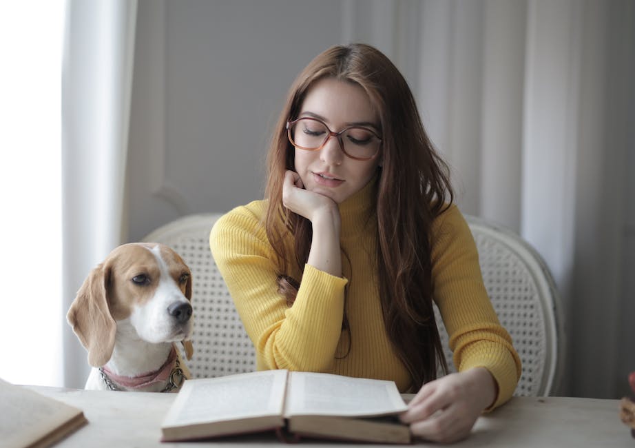  Messen von Fieber bei Hunden